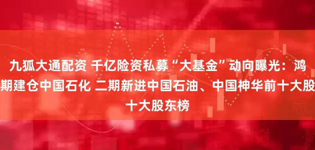 九狐大通配资 千亿险资私募“大基金”动向曝光：鸿鹄三期建仓中国石化 二期新进中国石油、中国神华前十大股东榜